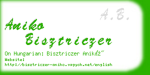 aniko bisztriczer business card